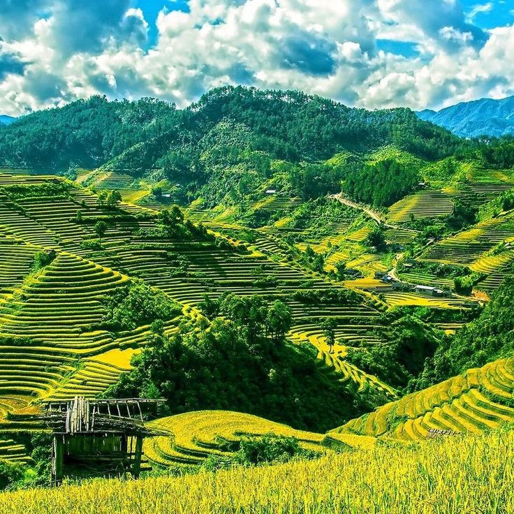 Northern Vietnam Escape: Sapa & Hanoi 5D4N