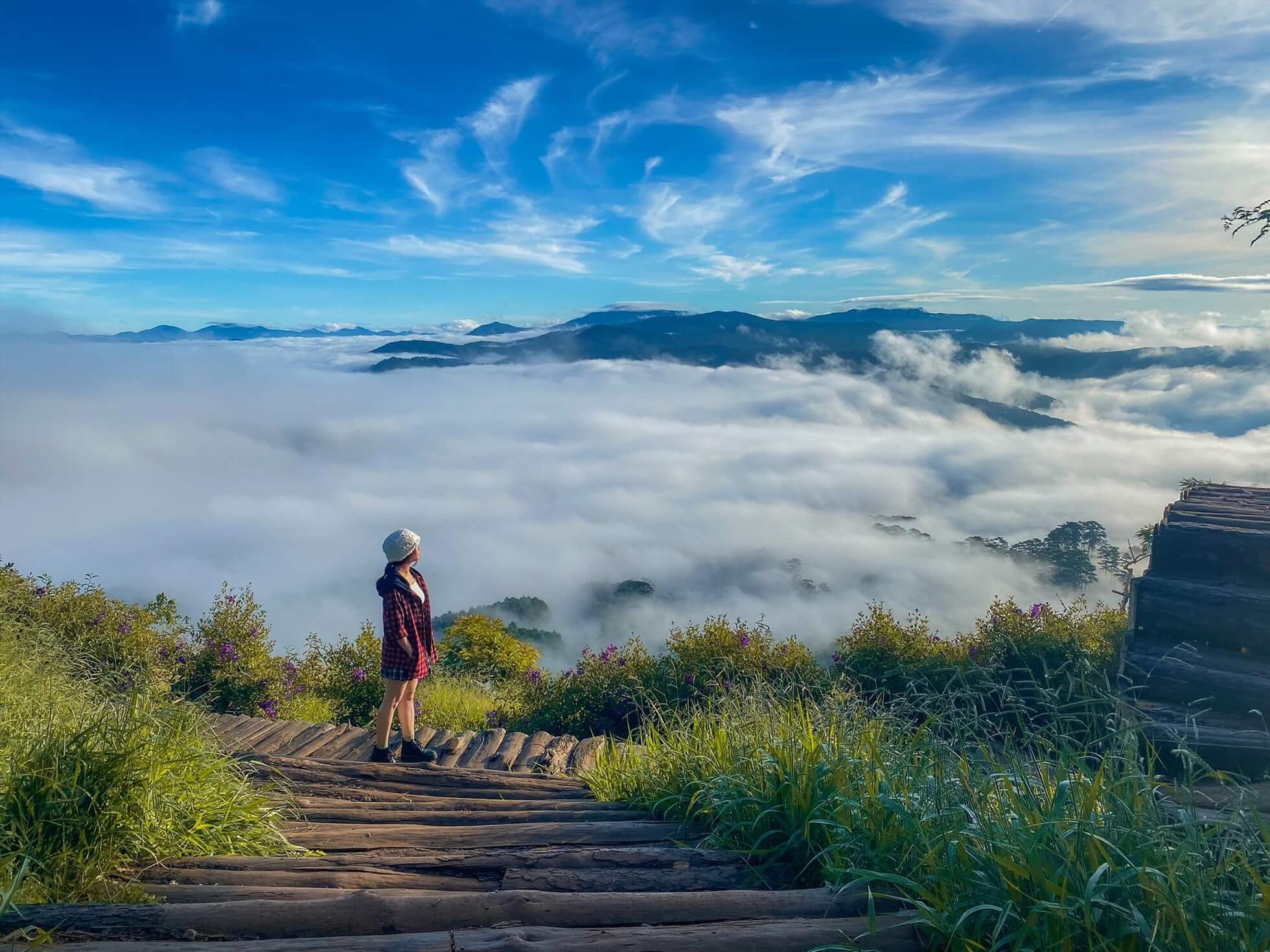 Vietnam Highlands & Heritage 6D5N: Ho Chi Minh City & Da Lat Discovery