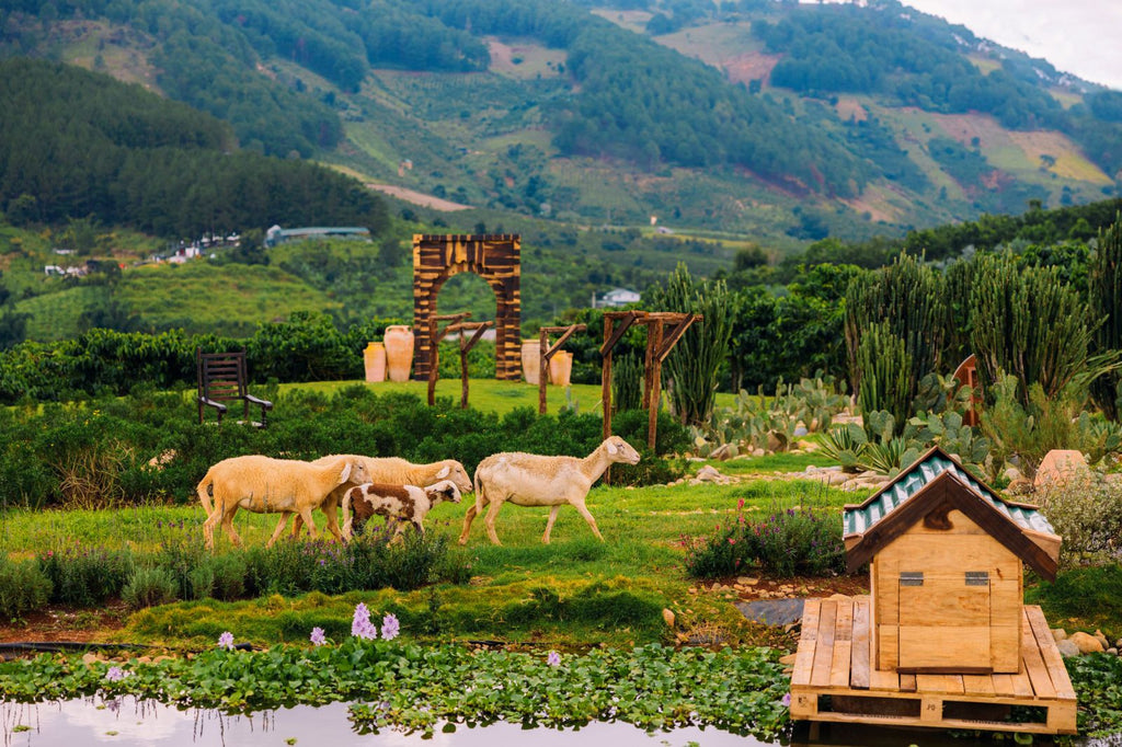 Vietnam Highlands & Heritage 6D5N: Ho Chi Minh City & Da Lat Discovery