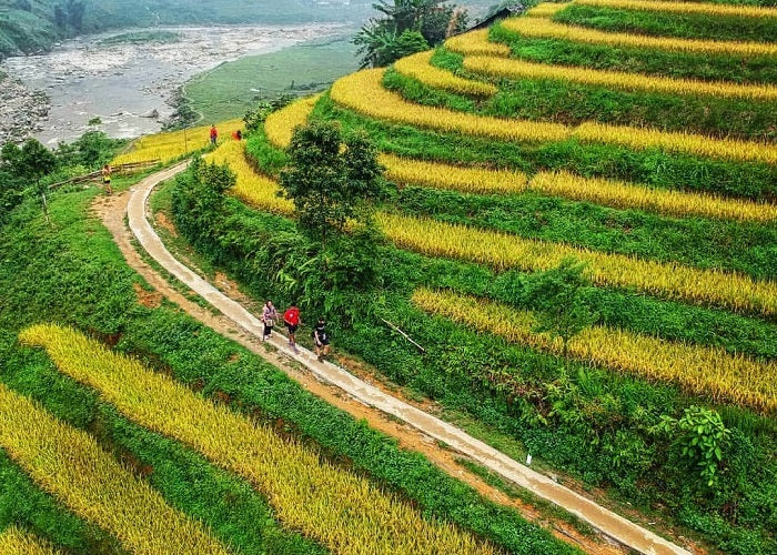 Northern Vietnam Escape: Sapa & Hanoi 5D4N