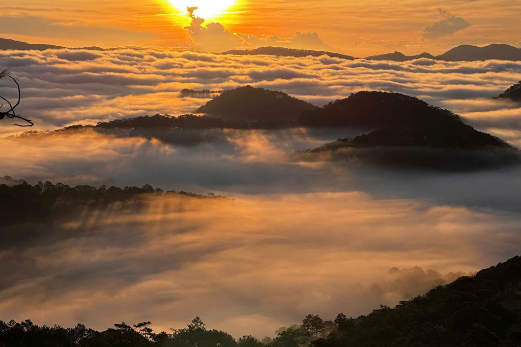Sunrise over a sea of clouds near Da Lat