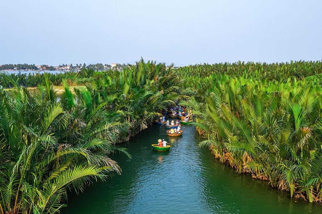 Rowing boats in a coconut palm canal in Ben Tre