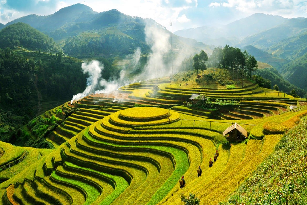 Rice terraces in Muong Hoa Valley near Lao Chai and Ta Van