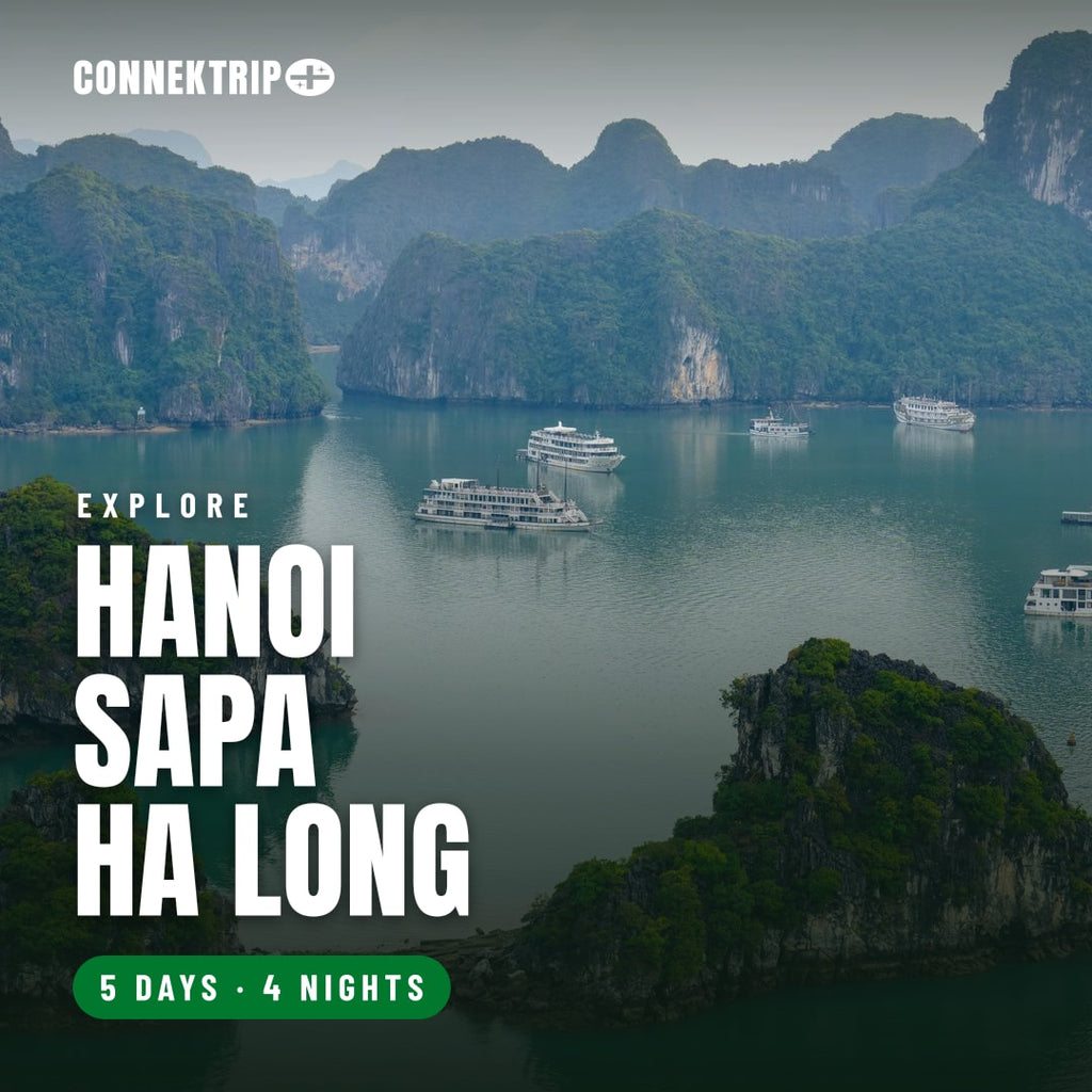 Hanoi, Sapa & Ha Long Bay 5D4N: Fansipan Peak & Bay Cruise tour by Connek Trip