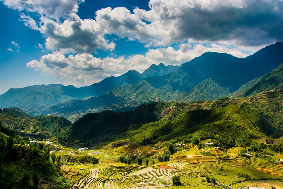 Rice terraces in the valley below the Hoang Lien Son mountains, Sapa
