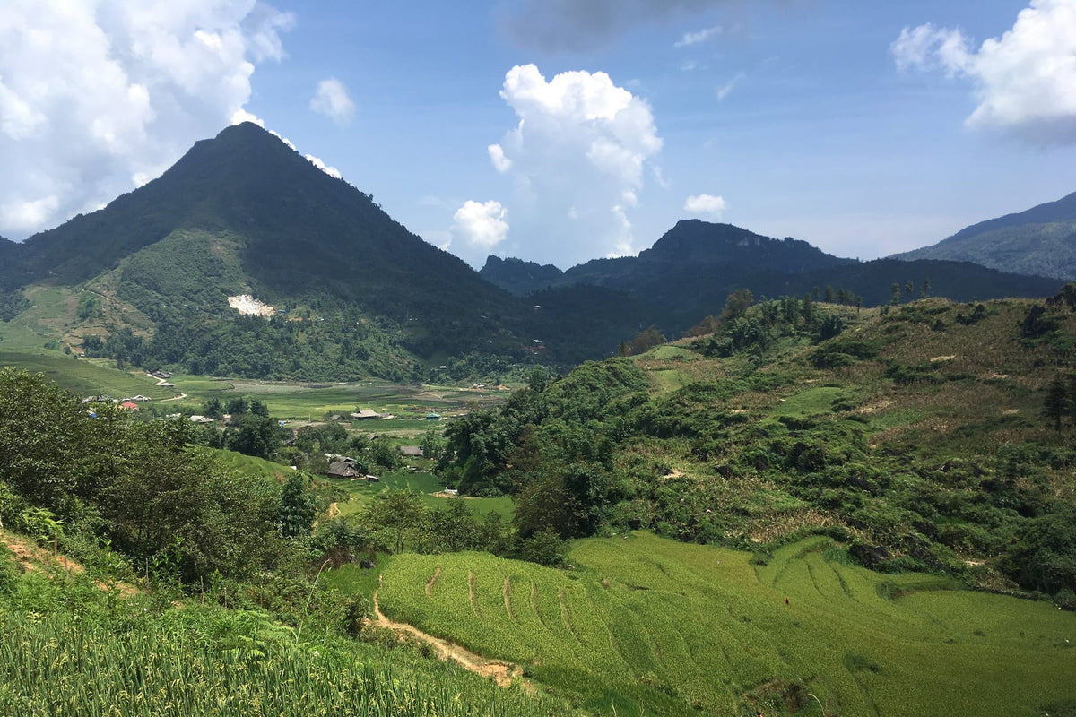 Rice terraces in Ta Phin village, Sapa (photo: Christophe95, CC BY-SA 4.0)