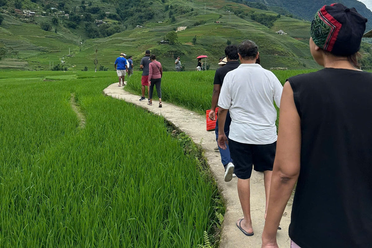 Connek Trip guests trekking through rice fields in Sapa
